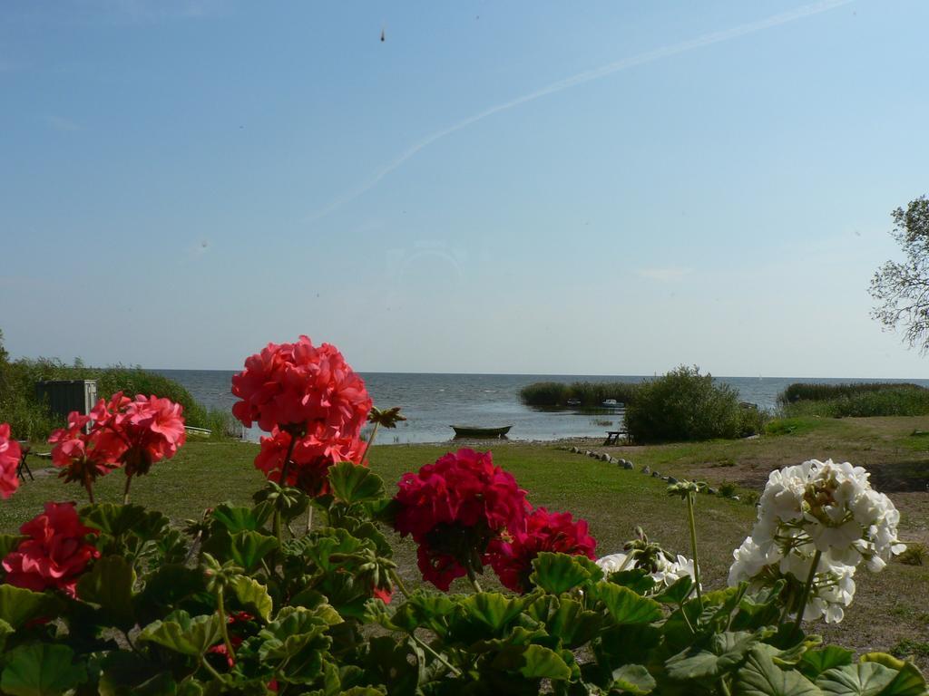 Hostel Kalameeste Maja Mustvee Oda fotoğraf