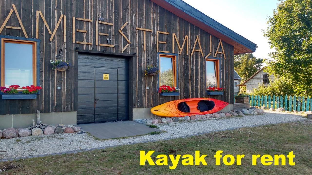 Hostel Kalameeste Maja Mustvee Dış mekan fotoğraf